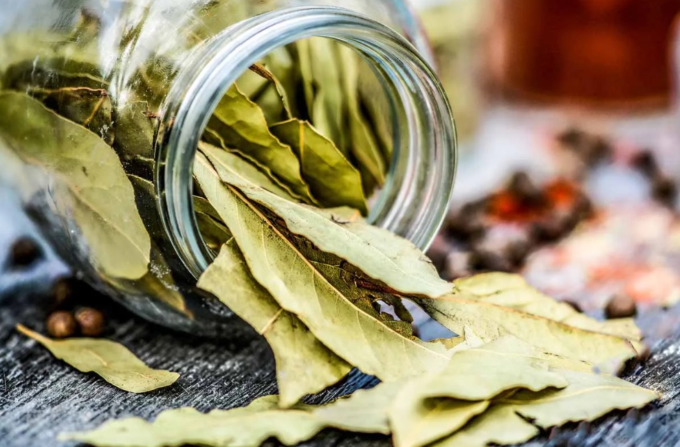 How to dry bay leaves: Best Advoices 2023