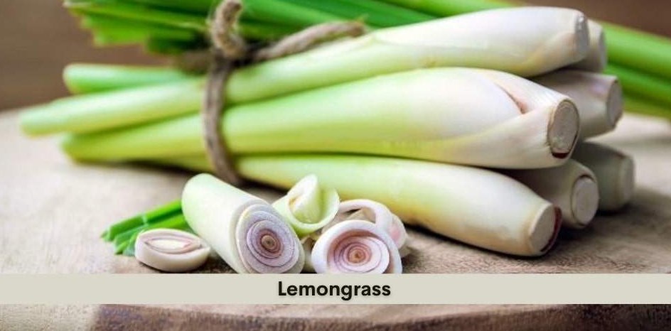 How to Mince Lemongrass: Top Health Benefits, Uses 2023