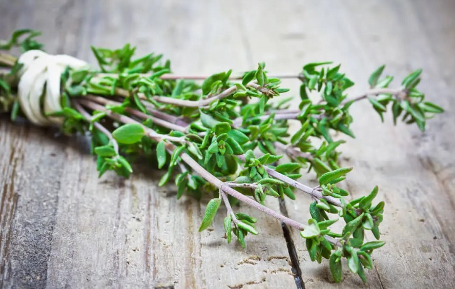 Best Substitute For Thyme In Recipe: Helpful Guide & Tips