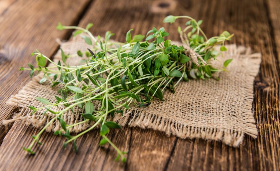 How much is one sprig of thyme