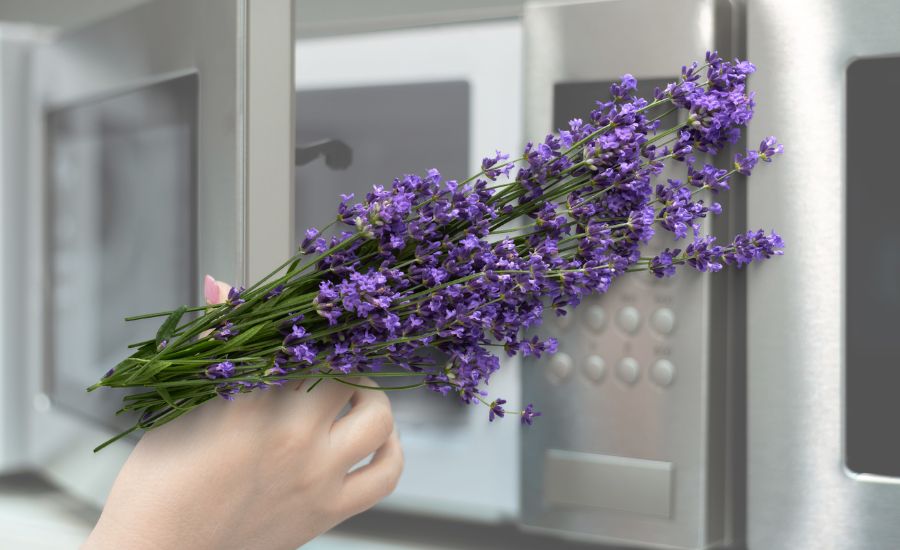 Нow to dry lavender in the oven: top 3 tips & helpful guide